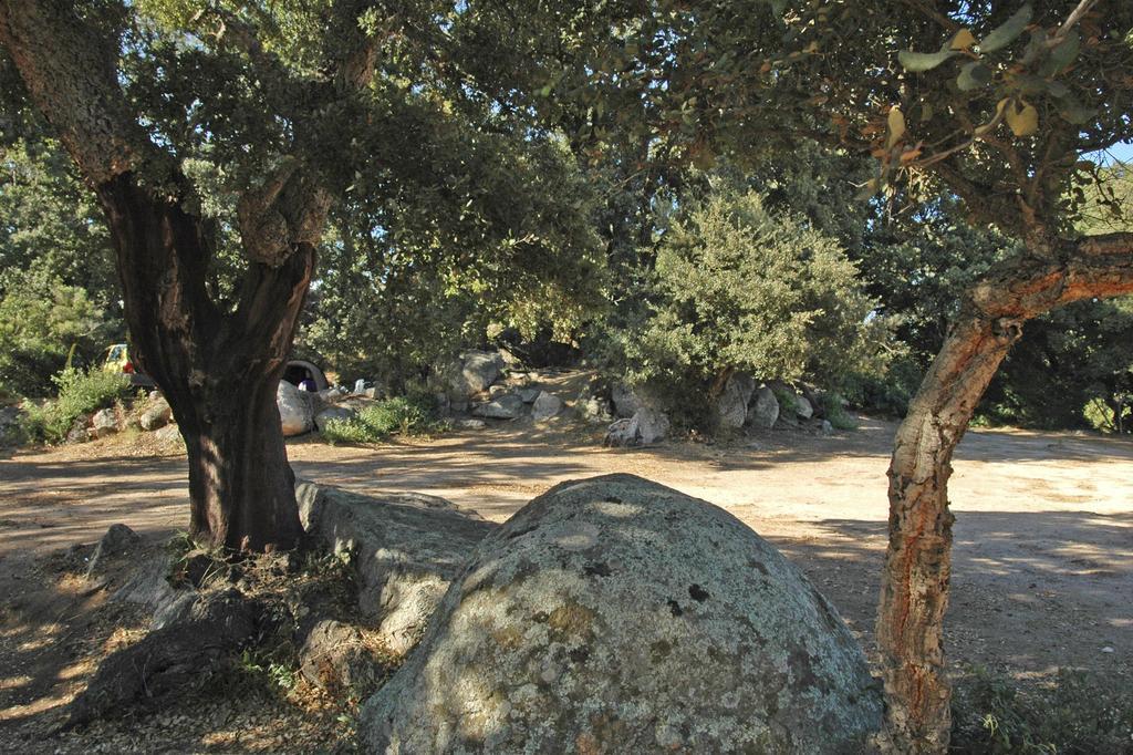Camping Pezza Cardo Porto-Vecchio  Zewnętrze zdjęcie